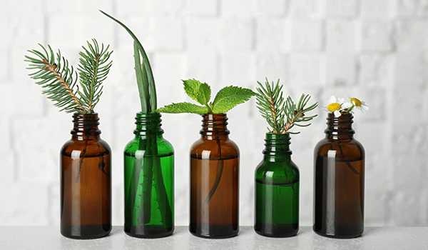 Essential oils in skincare products mobilehome