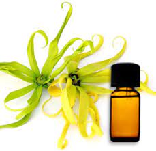 ylang