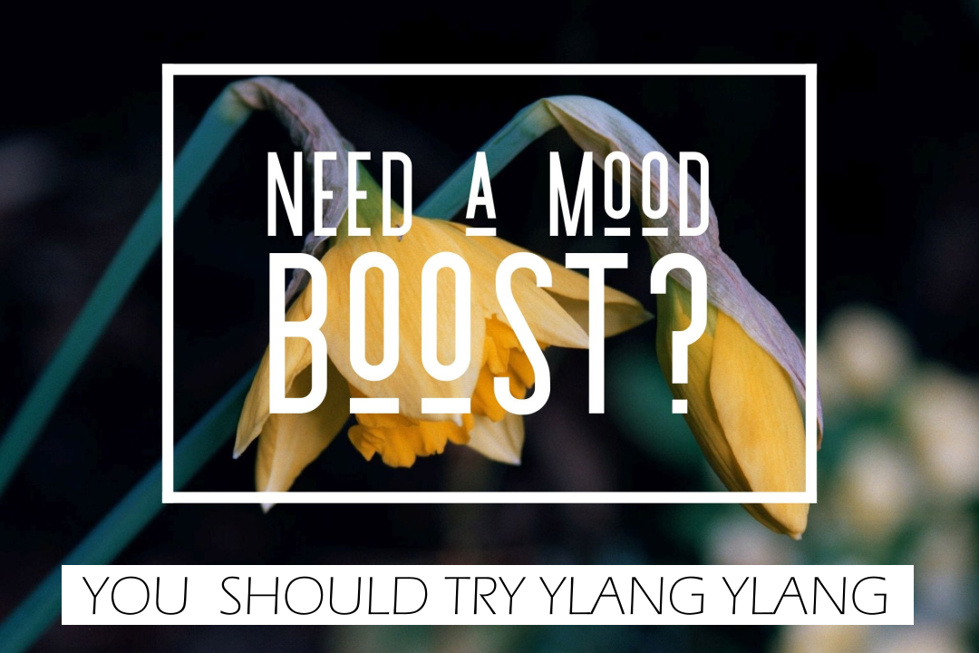 ylang ylang MOOD