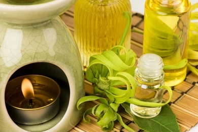 ylang ylang aroma