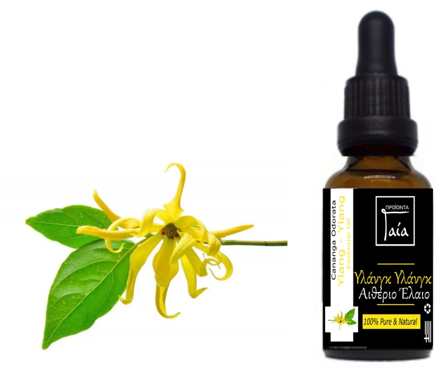 ylang ylang oil εσσ